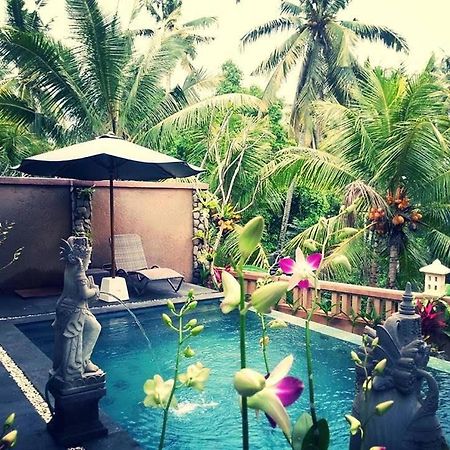 Villa Cilinaya Ubud Zewnętrze zdjęcie