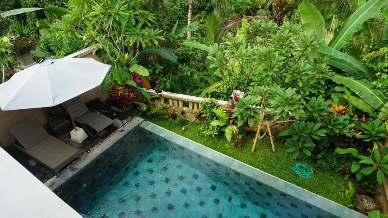 Villa Cilinaya Ubud Zewnętrze zdjęcie
